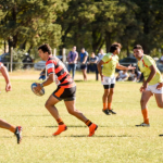 AGR 5 - Diario Resumen de la región