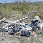 Basura D - Diario Resumen de la región