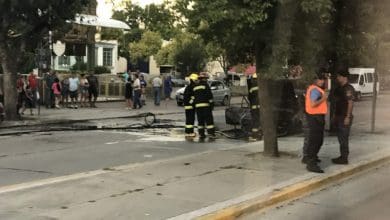 IMG 6028 1 - Diario Resumen de la región