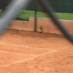 WhatsApp Image 2018 03 04 at 15.27.31 2 - Diario Resumen de la región