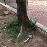 WhatsApp Image 2018 03 04 at 15.27.32 - Diario Resumen de la región