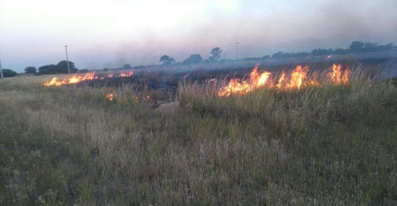 WhatsApp Image 2018 03 17 at 05.57.56 - Diario Resumen de la región