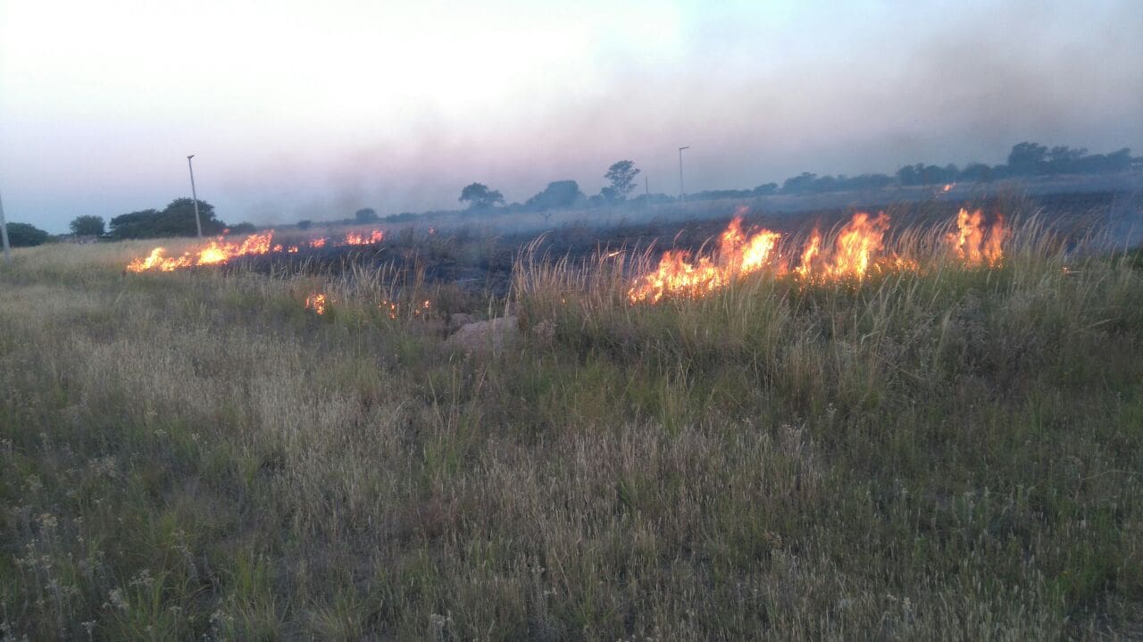 WhatsApp Image 2018 03 17 at 05.57.56 - Diario Resumen de la región