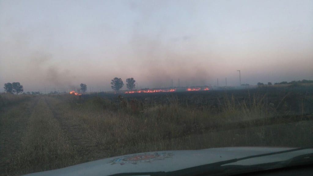 WhatsApp Image 2018 03 17 at 05.57.57 - Diario Resumen de la región