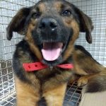 WhatsApp Image 2018 03 23 at 17.03.17 1 - Diario Resumen de la región