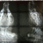 WhatsApp Image 2018 03 23 at 17.03.17 2 - Diario Resumen de la región