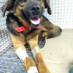 WhatsApp Image 2018 03 23 at 17.03.19 - Diario Resumen de la región