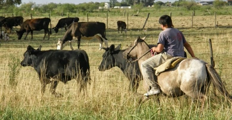 peon trabajador rural - Diario Resumen de la región
