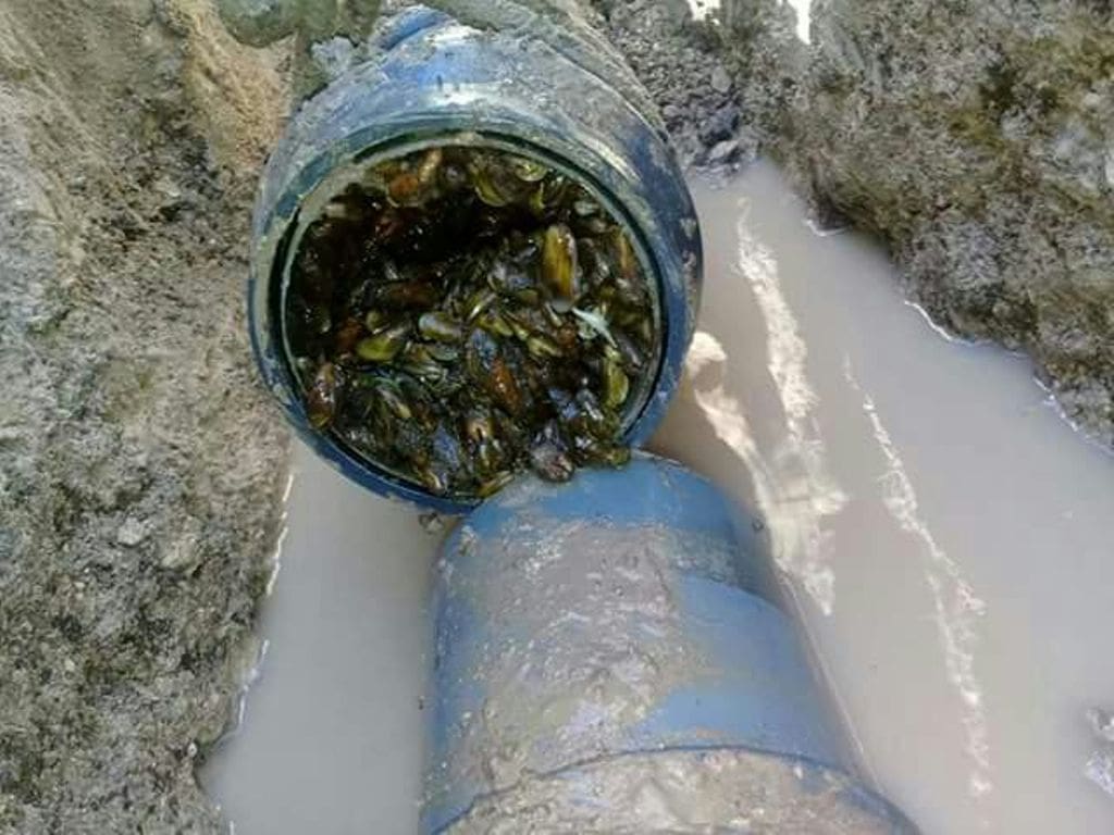 Cañeria tapada - Diario Resumen de la región