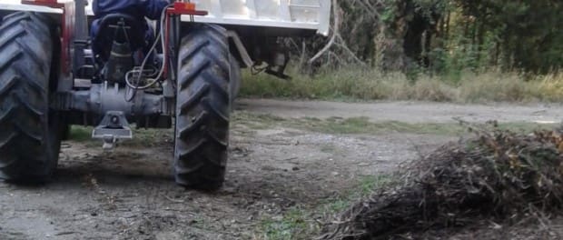 IMG 20180405 WA0008 - Diario Resumen de la región