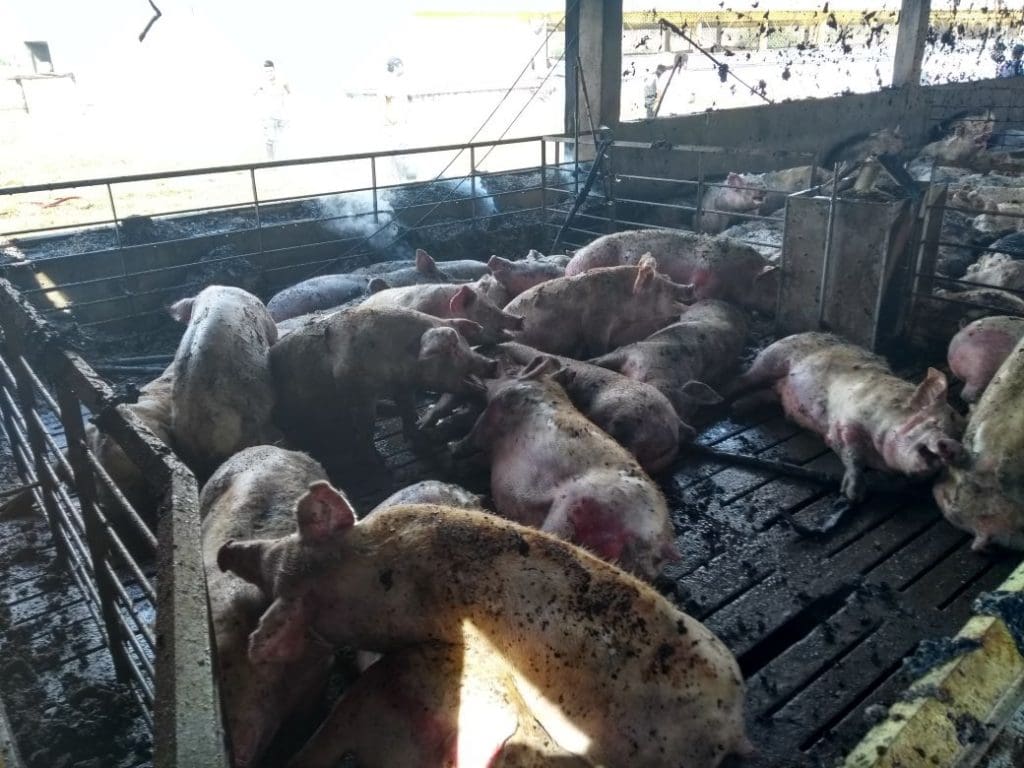 WhatsApp Image 2018 04 10 at 08.44.08 - Diario Resumen de la región