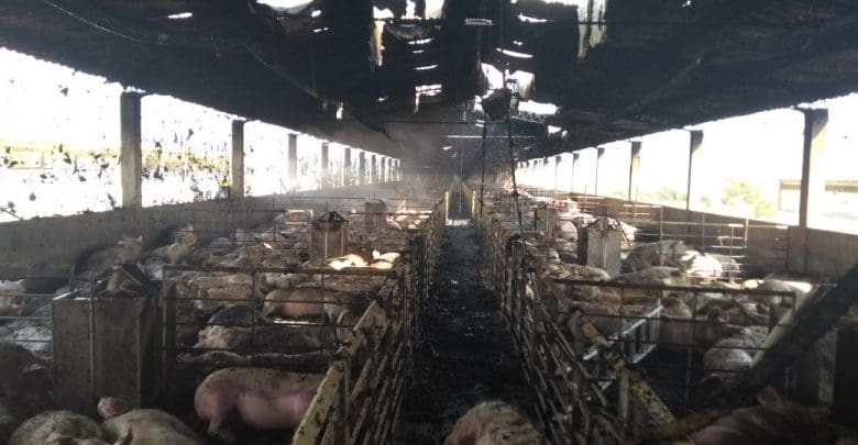 WhatsApp Image 2018 04 10 at 08.44.09 1 - Diario Resumen de la región
