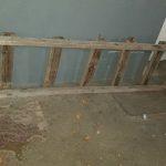 WhatsApp Image 2018 04 23 at 10.44.11 - Diario Resumen de la región