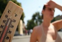 calor 1024x682 - Diario Resumen de la región
