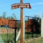 señales1 169x300 - Diario Resumen de la región