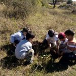 33074213 1822706101127592 1934190564148772864 o - Diario Resumen de la región