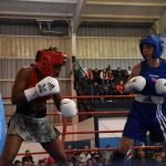 DSC 0499 - Diario Resumen de la región