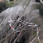 PHOTO 2018 05 21 19 59 13 - Diario Resumen de la región