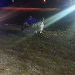 WhatsApp Image 2018 05 20 at 12.10.54 - Diario Resumen de la región