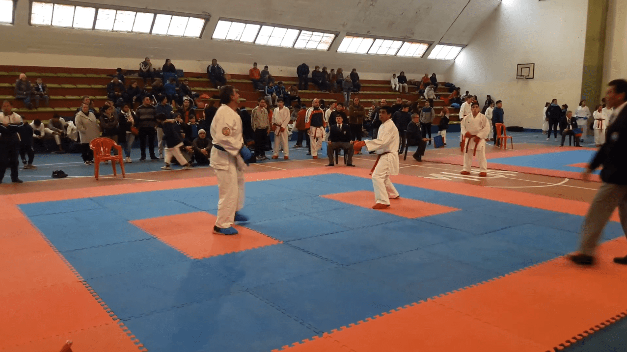 Karate - Diario Resumen de la región