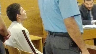 Pinguchi Diaz 2 - Diario Resumen de la región