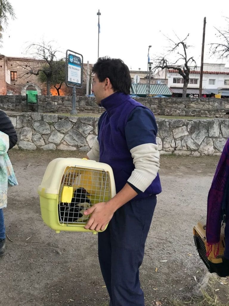 WhatsApp Image 2018 06 15 at 18.47.30 1 - Diario Resumen de la región