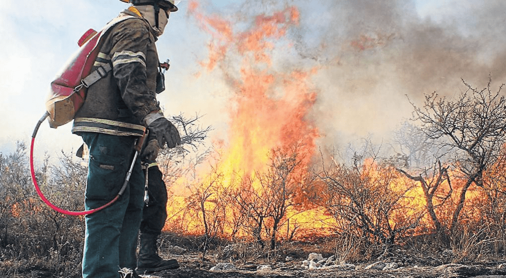 bomberos - Diario Resumen de la región