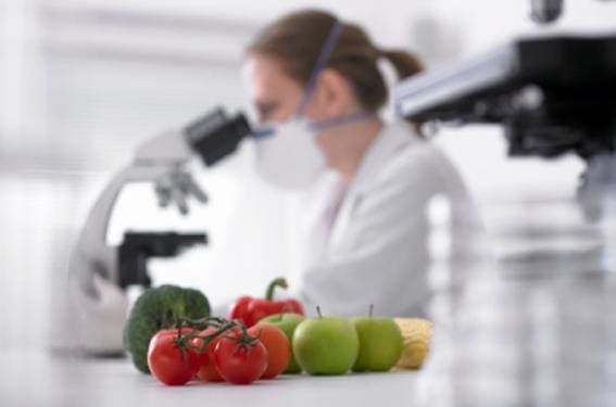 contaminantes alimentos - Diario Resumen de la región