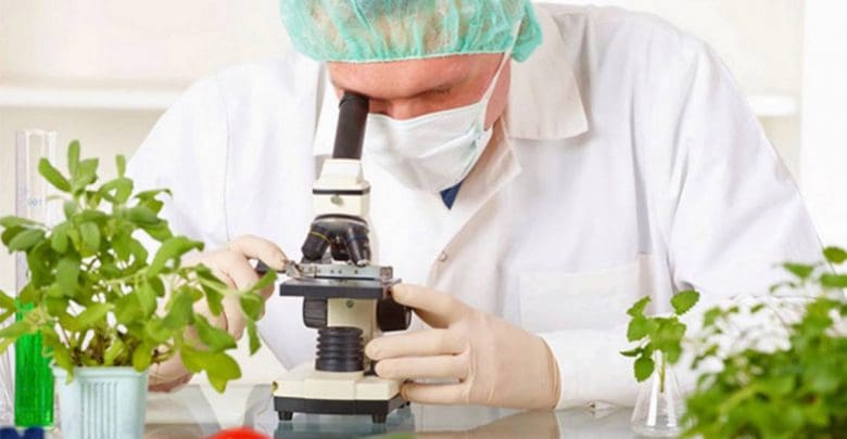 tecnologia alimentos - Diario Resumen de la región