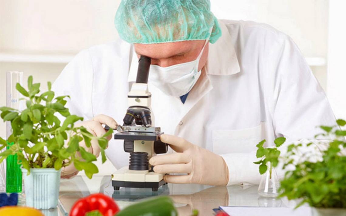 tecnologia alimentos - Diario Resumen de la región