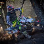 Nacho - Diario Resumen de la región