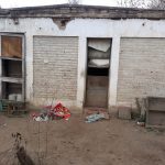 PERROS DOS - Diario Resumen de la región
