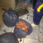 WhatsApp Image 2018 07 05 at 09.43.00 - Diario Resumen de la región