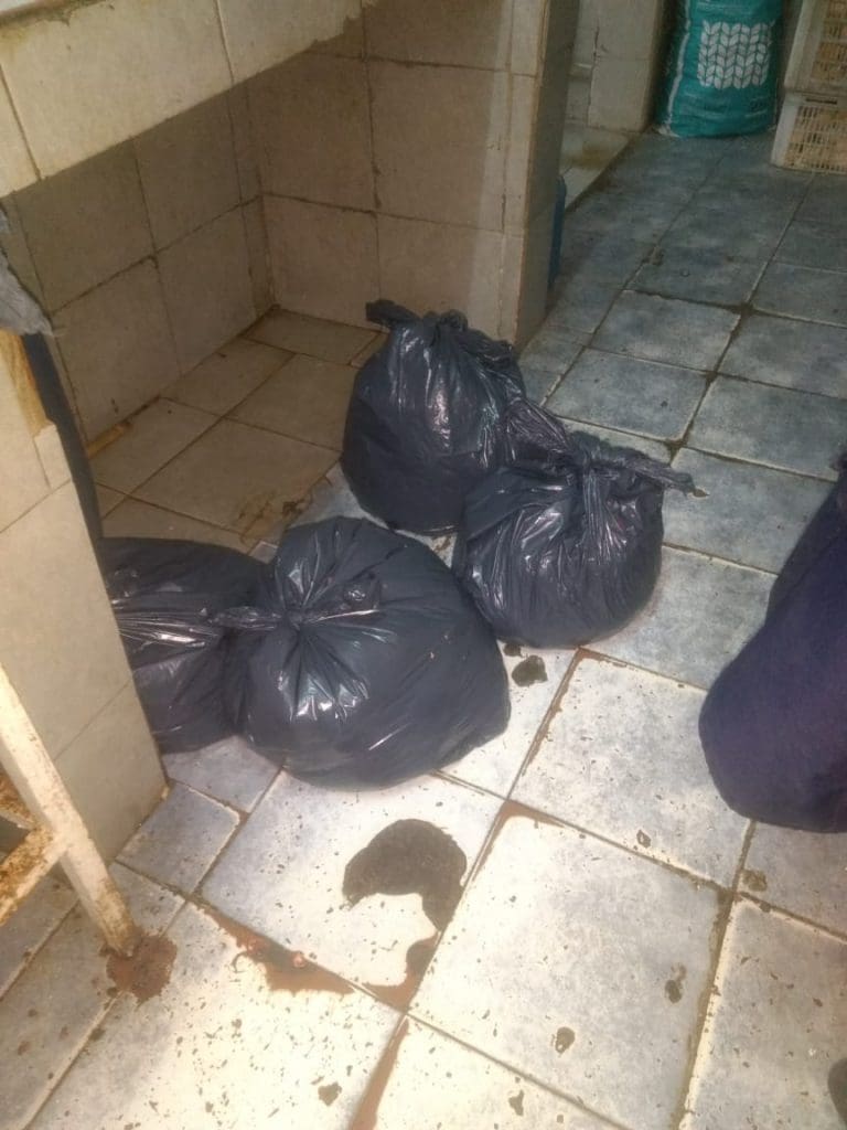 WhatsApp Image 2018 07 05 at 09.43.02 1 - Diario Resumen de la región