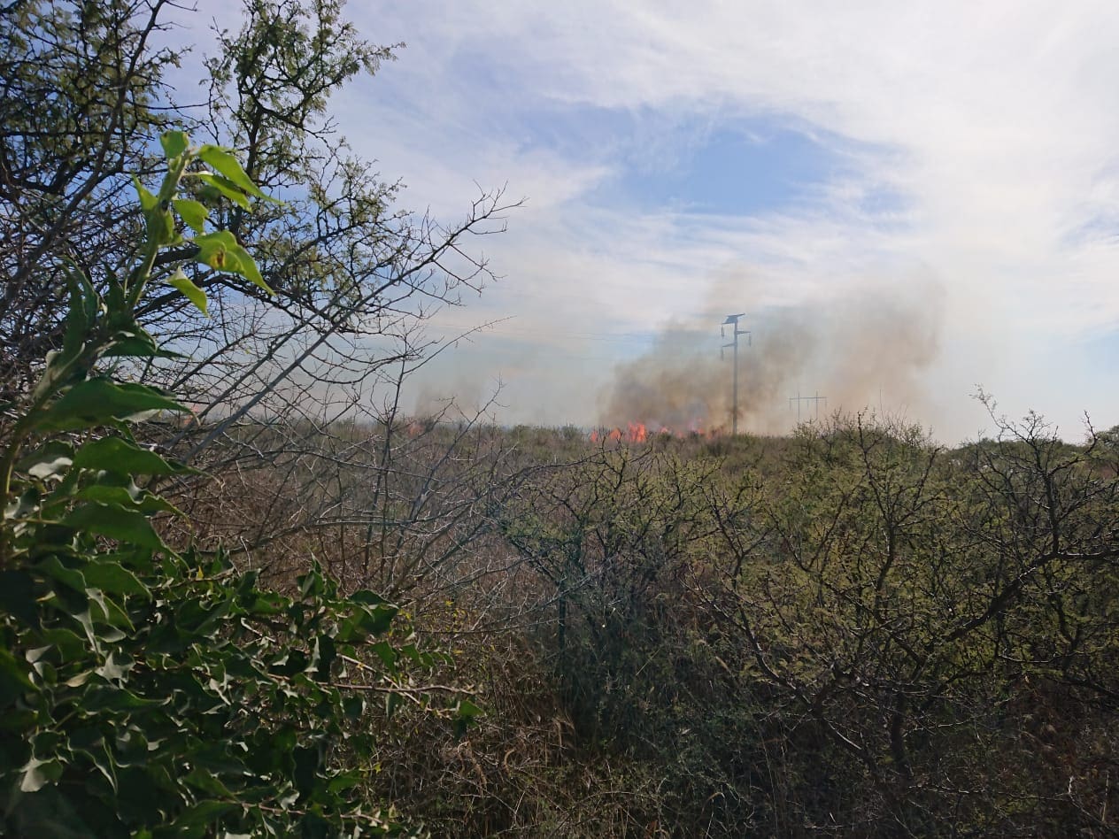 WhatsApp Image 2018 07 22 at 12.45.00 2 - Diario Resumen de la región