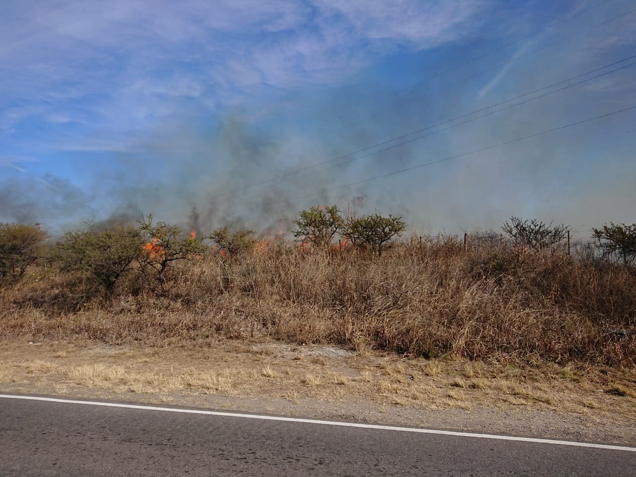 WhatsApp Image 2018 07 22 at 12.45.00 3 - Diario Resumen de la región