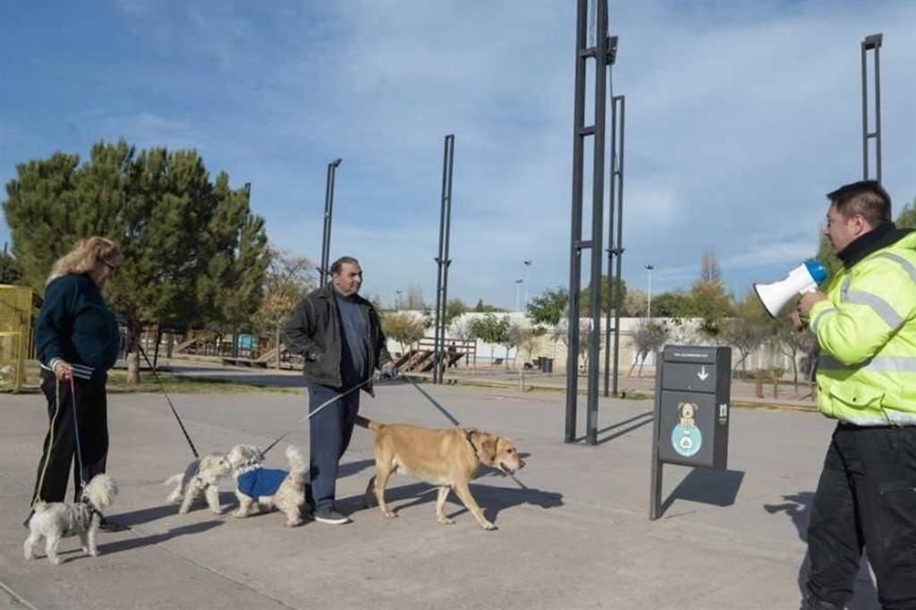 1533848303105 - Diario Resumen de la región