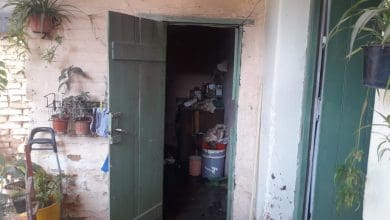 1e89f87d 0835 4a35 b564 381ef7bba889 - Diario Resumen de la región