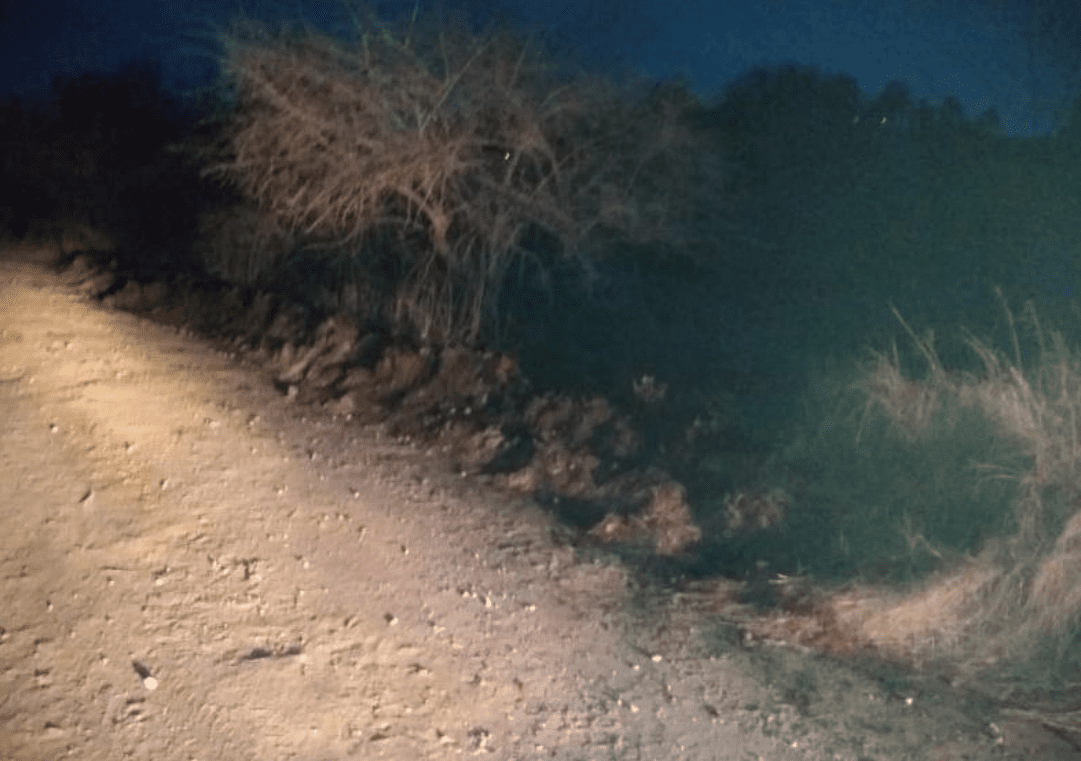 Incendio - Diario Resumen de la región