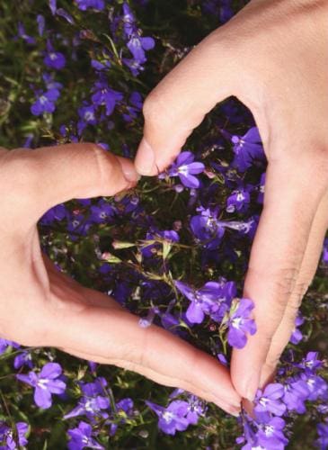 Jin Shin Jyutsu 2 - Diario Resumen de la región