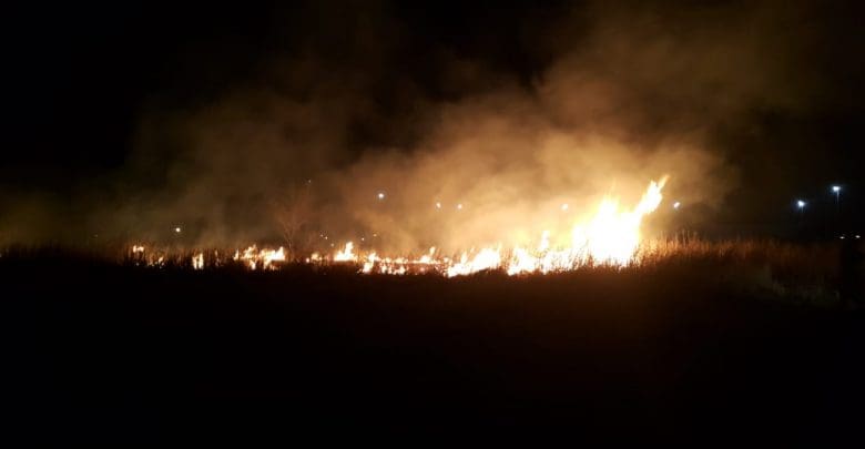 WhatsApp Image 2018 08 12 at 11.08.32 - Diario Resumen de la región