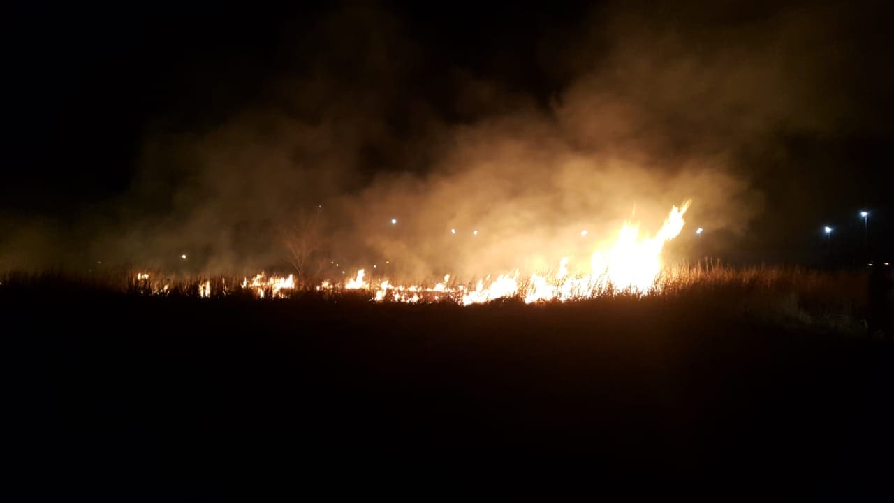 WhatsApp Image 2018 08 12 at 11.08.32 - Diario Resumen de la región