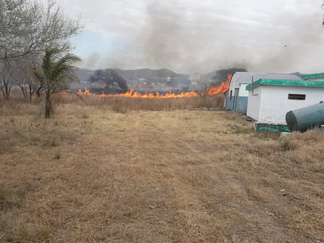 WhatsApp Image 2018 08 18 at 19.08.05 - Diario Resumen de la región