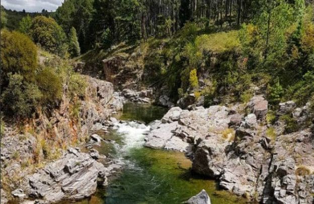 bosques de yacanto 739 principal 0 - Diario Resumen de la región