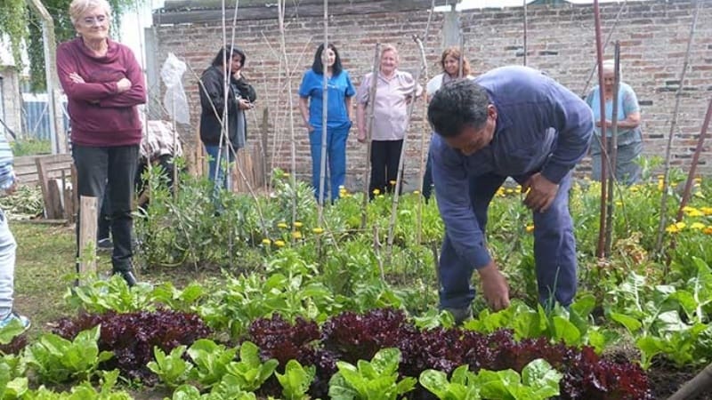 f800x450 61930 113376 31 - Diario Resumen de la región