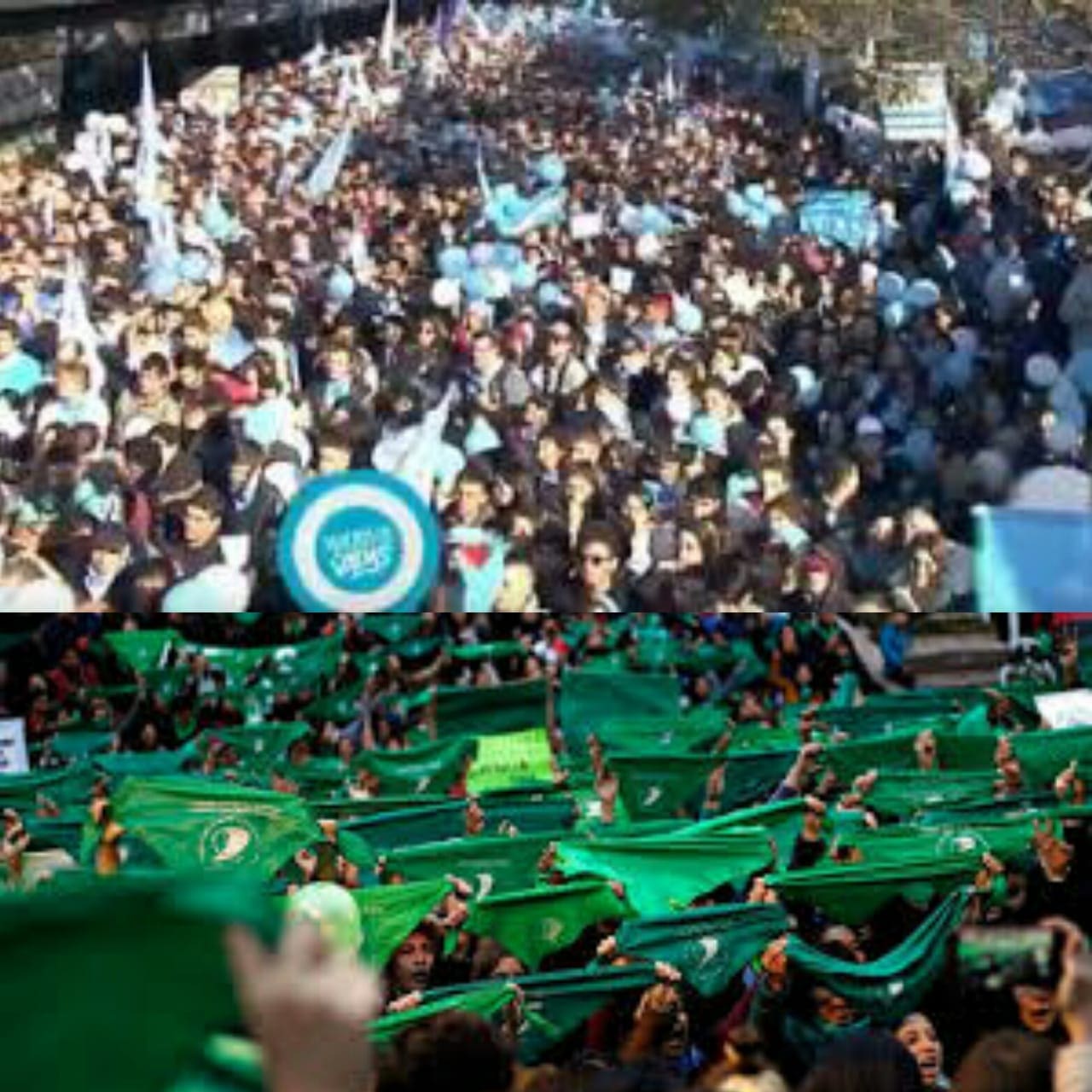 fe891563 6f42 4d93 be2b 0d6be27108fb - Diario Resumen de la región