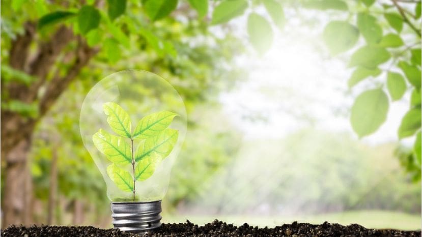 hoteles verdes - Diario Resumen de la región