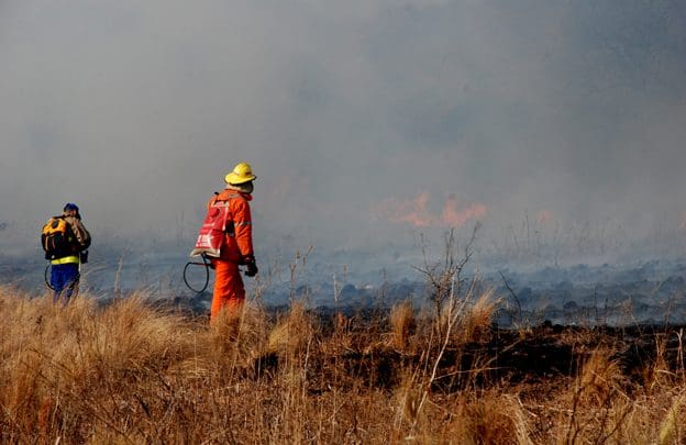 iNCENDIOS8 - Diario Resumen de la región