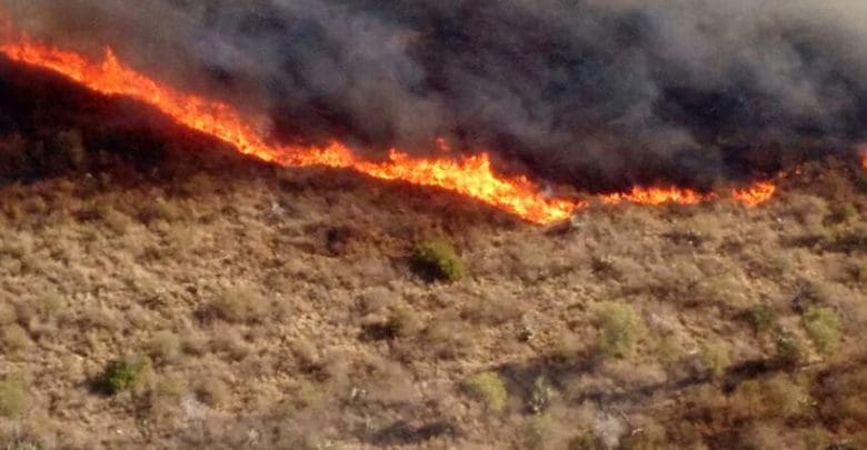 incendio - Diario Resumen de la región