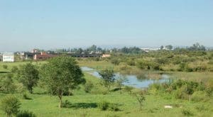 potrero de loyola - Diario Resumen de la región